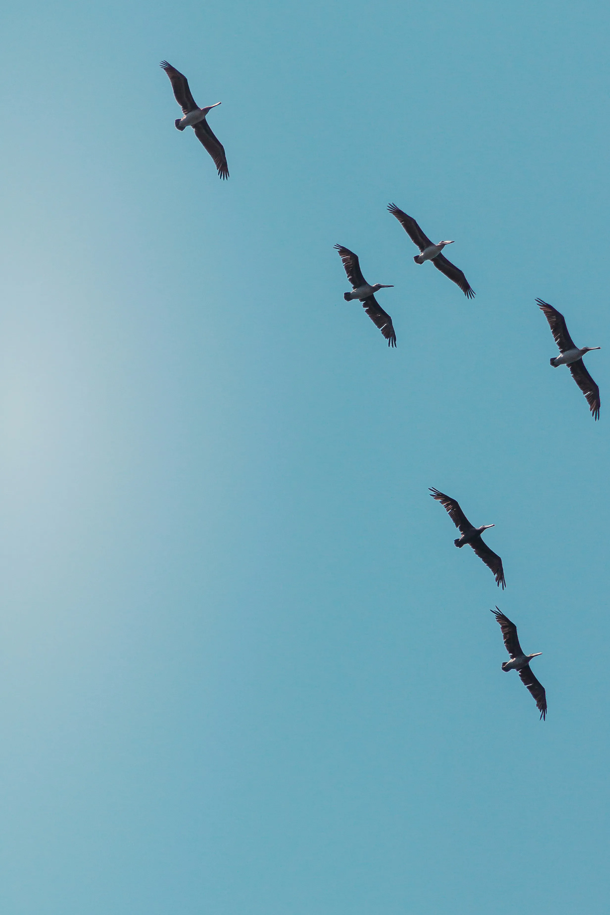 E-commerce Platform Migration & SEO screenshot 1